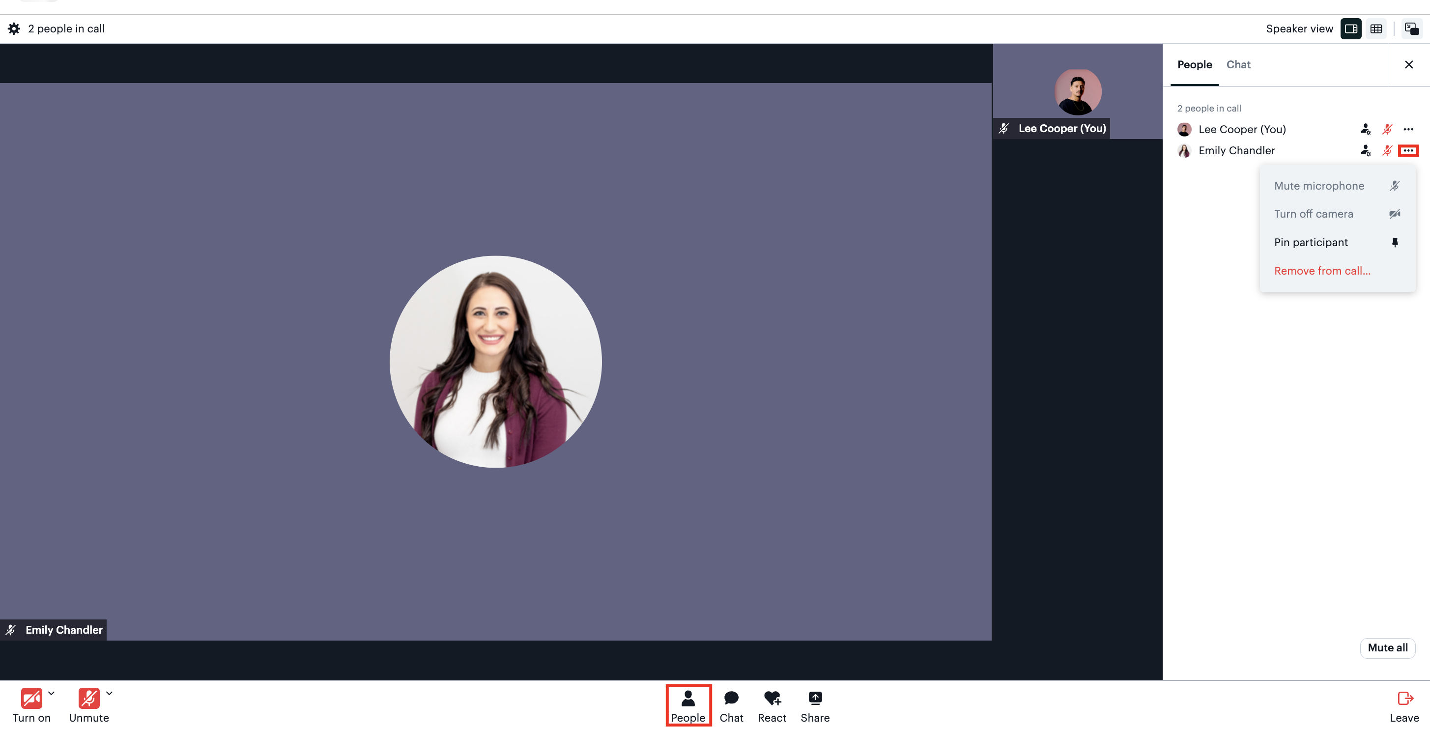 Remove participant from a call.png