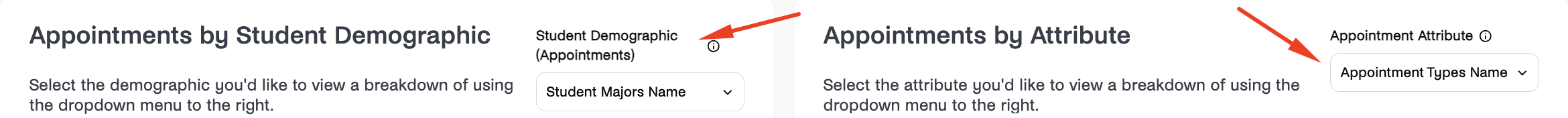 Appointments by Student Demographic and Attribute filters.png